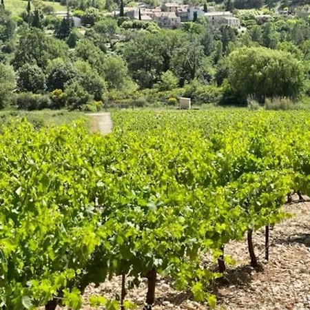 Deluxe Asterisk At Mont Ventoux Villa Mollans-sur-Ouveze